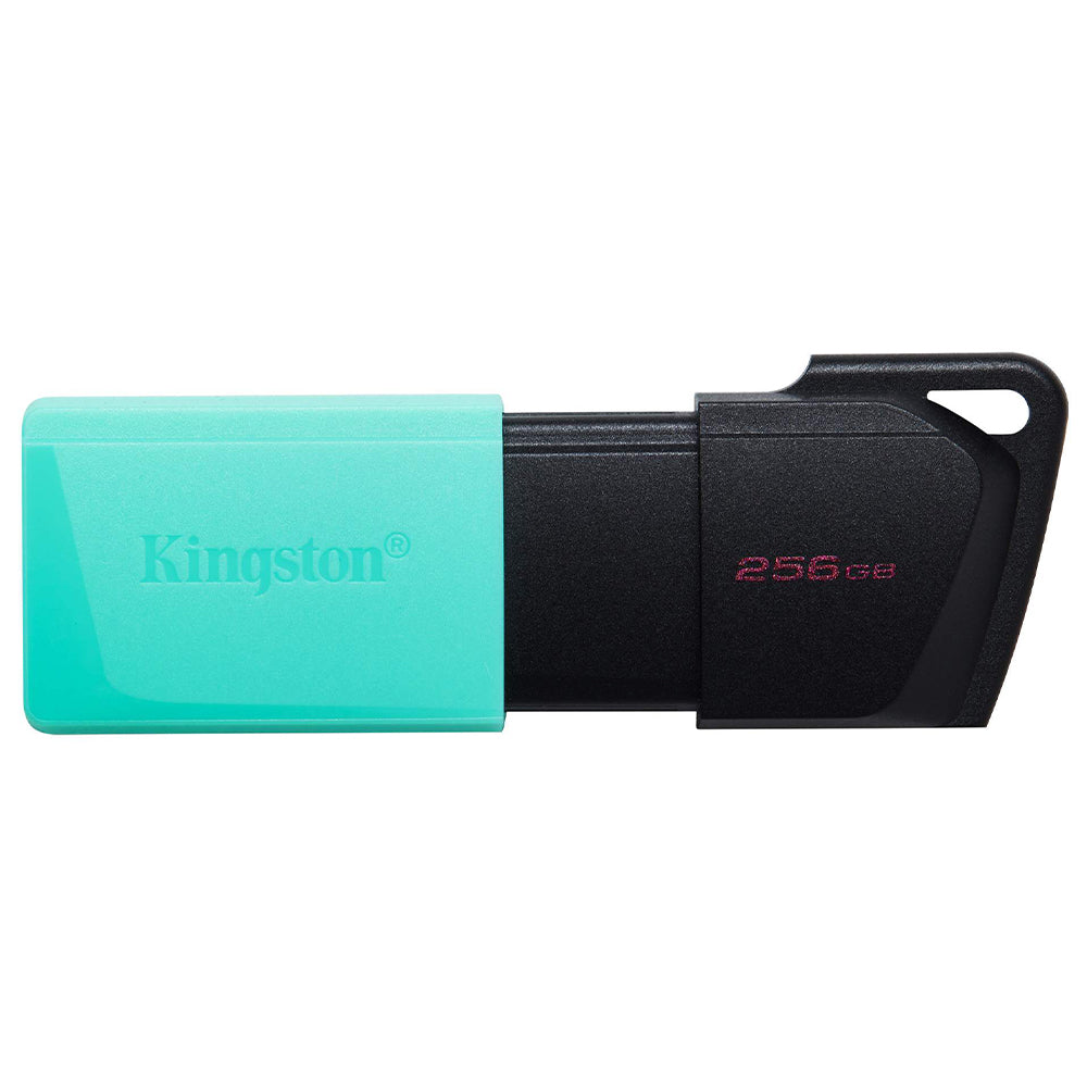Kingston DataTraveler Exodia M 256GB Flash Memory