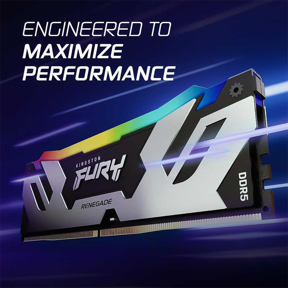 كينجستون DDR56800MTفيوري رينيجيد ار جي بي