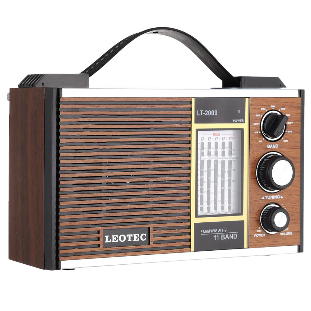 Leotec LT-2009 Portable Radio Speaker 1.0