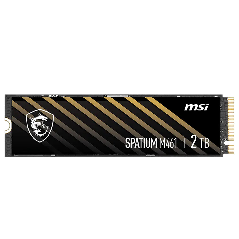 MSI SPATIUM M461 1TB NVMe PCIe M.2 SSD