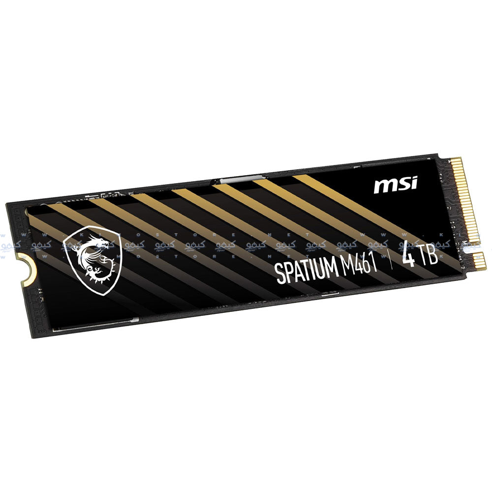 MSI SPATIUM M461 4TB NVMe PCIe 
