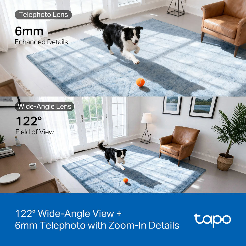 Tapo C245D Dual Lens Wi-Fi Pan & Tilt Outdoor Security Camera 2K 3MP+3MP 2.1-6mm (Mic)