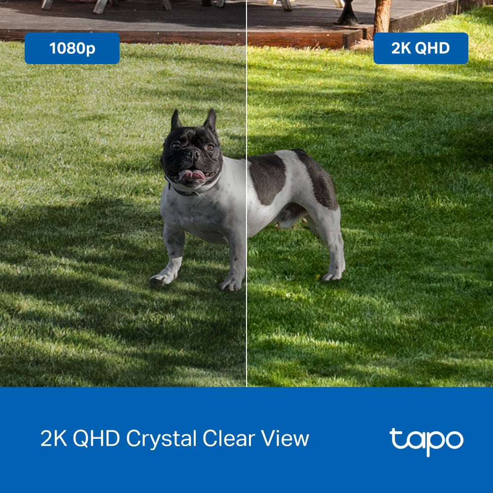 Tapo TC85 Battery-Powered Wi-Fi Outdoor Security Camera 