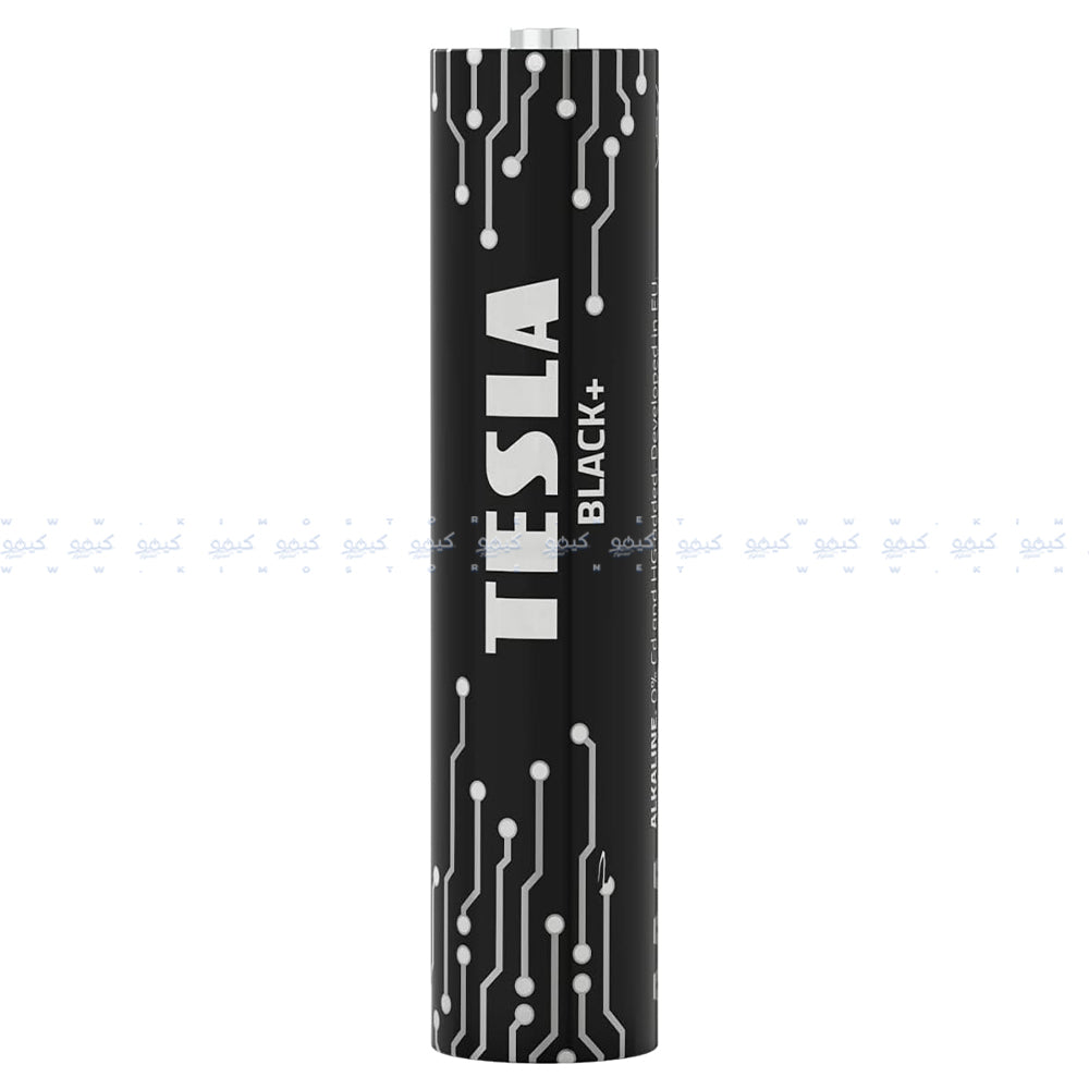 Tesla Black+ AA2 Alkaline Battery