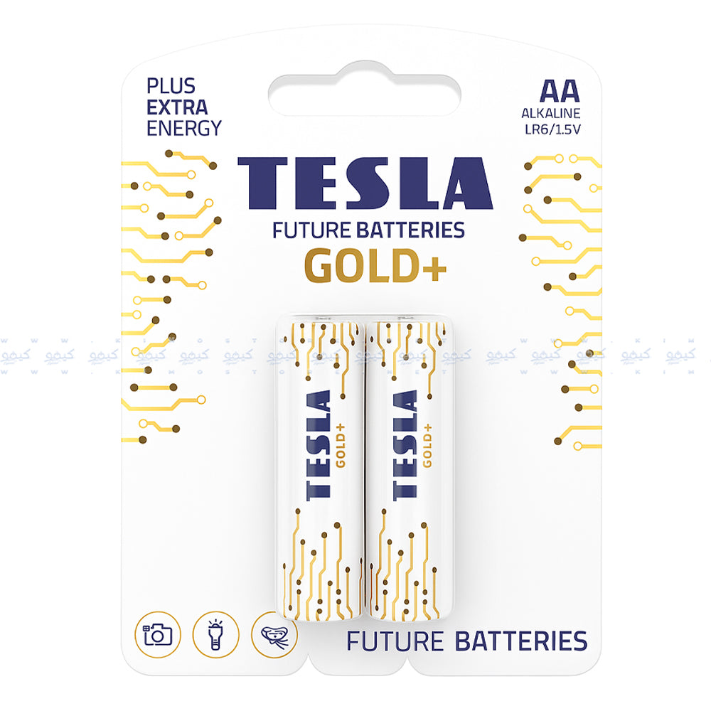 Tesla Gold+ AA2 Battery