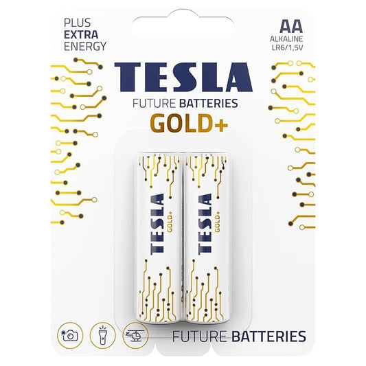 Tesla Gold+ AA2 Battery