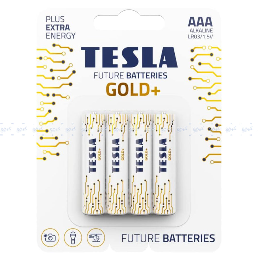 Tesla Gold+ AA4 Battery