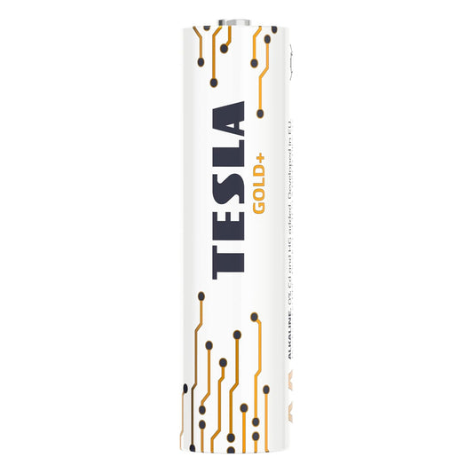 Tesla Gold+ AA4 Battery