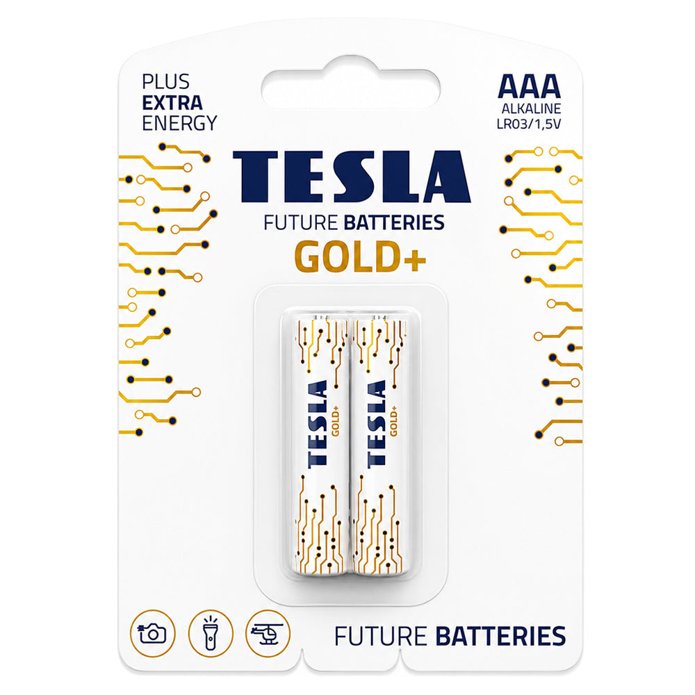 Tesla Gold+ AAA2 Battery