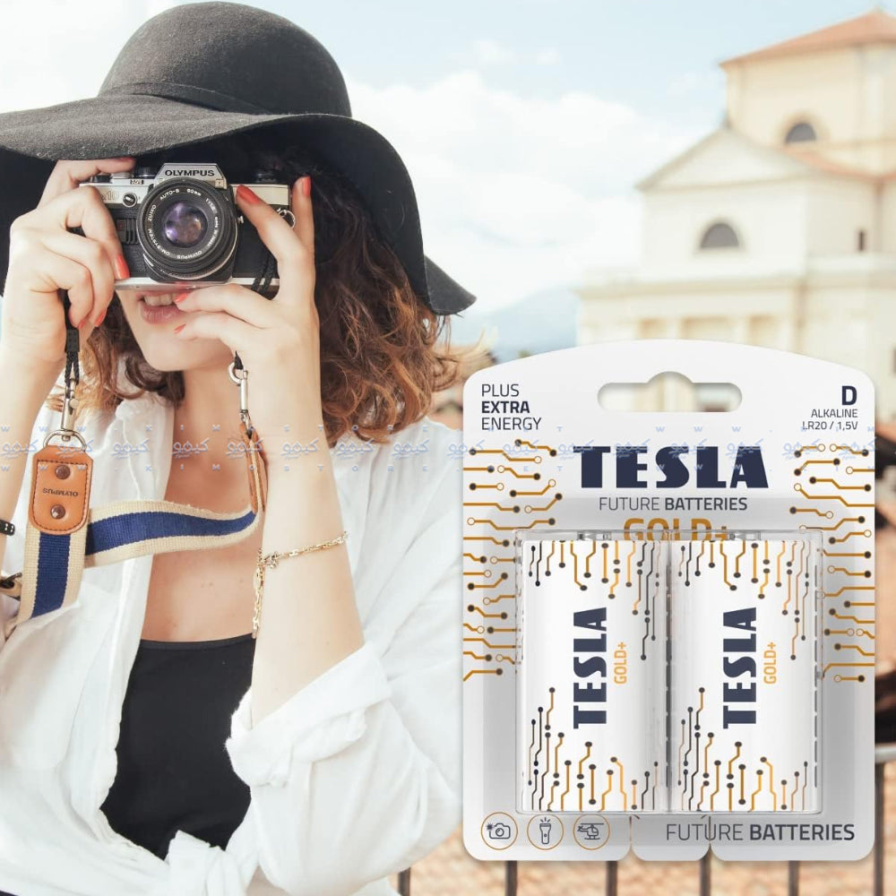 Tesla Gold+ D2 Alkaline Battery