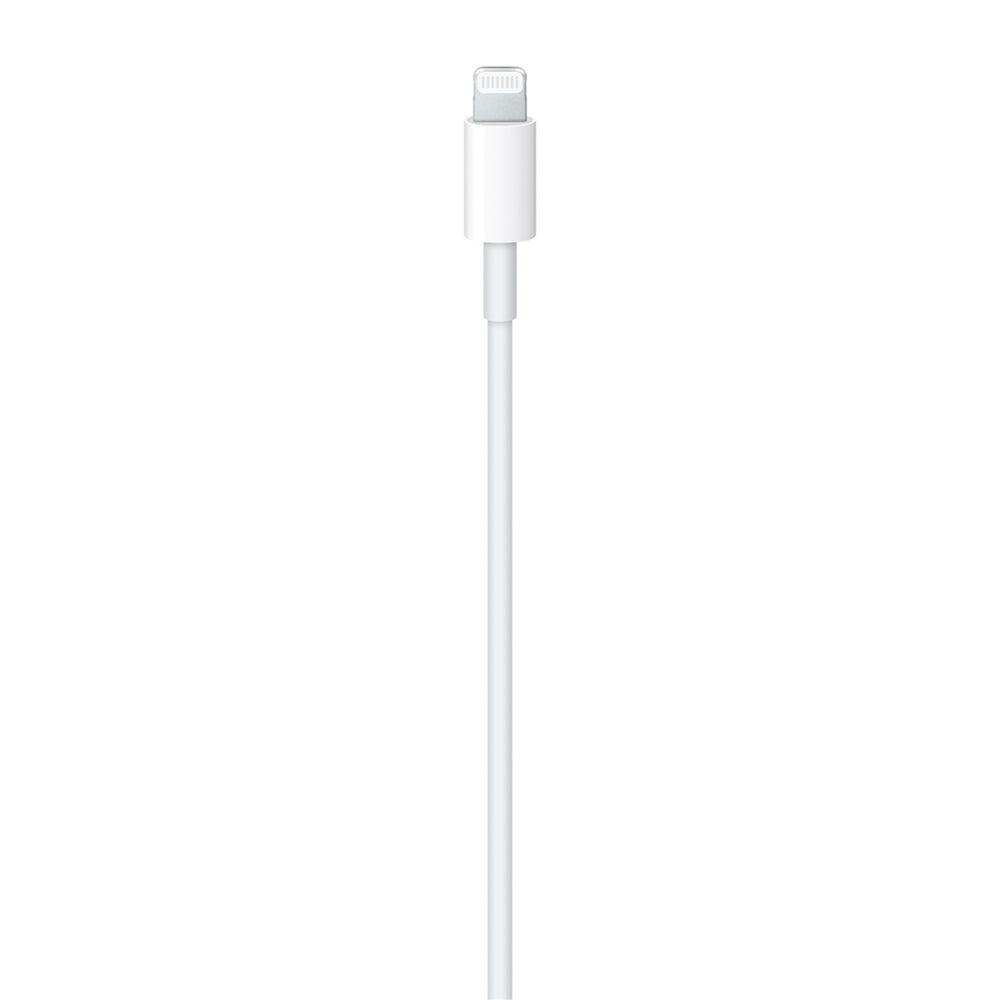 Apple A1702 Fast Charging