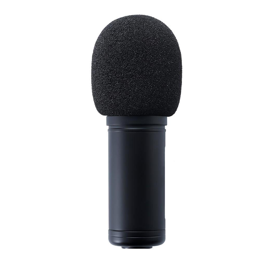 Microphone Kit
