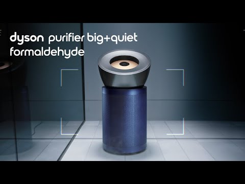 Dyson Air Purifier Big+Quiet Formaldehyde BP04 - Prussian Blue x Gold