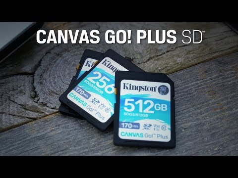 ميمورى كارد كينجستون للكاميرا 64 جيجابايت Canvas Go Plus SDG3 